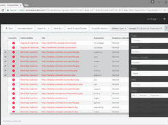 Acunetix Screenshot 1