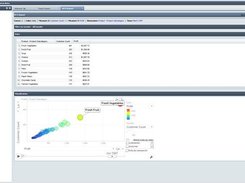 BCG Analysis