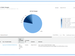 File change auditing