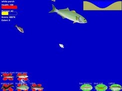 Playing as a white perch, a small prey fish.
