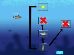 The quiz screen, where the player must rebuild the food web.