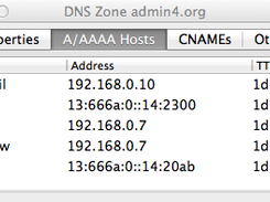 DNS host records