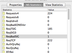 DNS server statistics