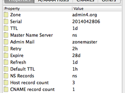 DNS zone details