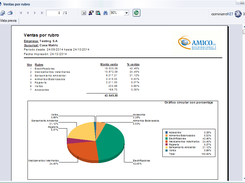 Informe de venta por rubro