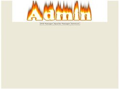 The first look of the website