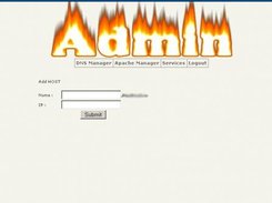 The first look of adding an A HOST in the DNS Manager