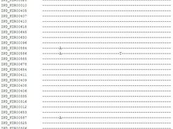 Simplified ClustalW output in HTML format with DNA sequences from the IPD KIR database