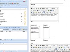 Embedded editor interface