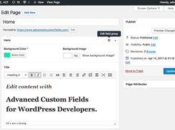 Advanced Custom Fields Screenshot 1