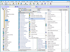 Database Explorer window