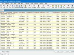 Data Display with sorting, grouping, sub-totals