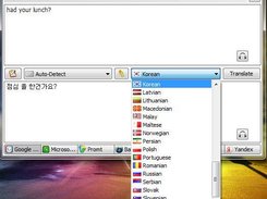 Advance Quick Translate Screenshot 2
