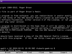aedit on os2
