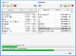 AeroAdmin File Manager