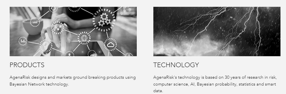 AgenaRisk Screenshot 1