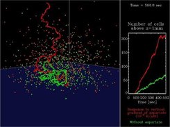 1,080 Cells in a Vertical Aspartate Gradient