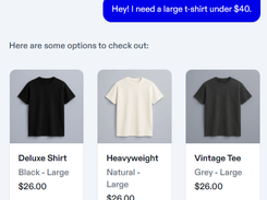 Agentic Commerce Protocol (ACP) Screenshot 1