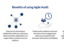 Agile Audit Screenshot 2