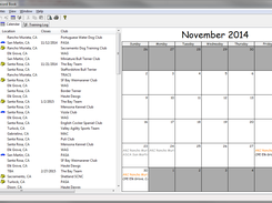 Calendar view