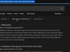 Agregore Browser Screenshot 2