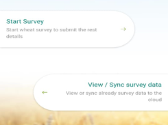 Wheat Rust Surveillance Information System