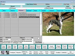 QuickVet Screenshot 1