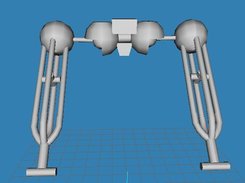 Torso Section Frontal View 3-d