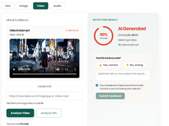 AI video checker results