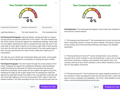 Humanized Content with Explanation Generated by AIDetectPlus.