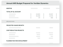 AWS budget and forecast prepared by Aimably