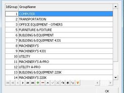 Fixed Asset Group