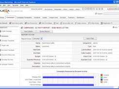Campaign Report Activity