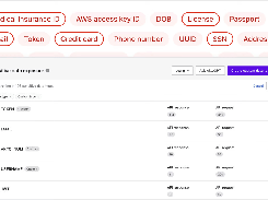 100+ sensitive data types including SSN, Credit Card, email, AWS keys, tokens, payment information. Add your own custom Data Type.