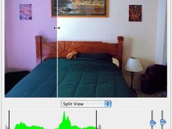 Histogram, brightness, and contrast adjustments