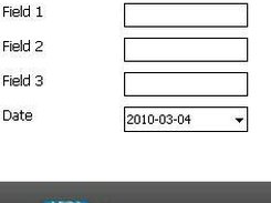 Application main form 