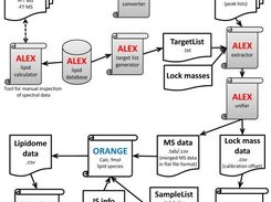 ALEX workflow