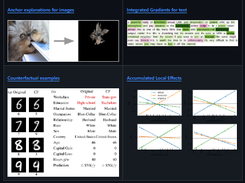 Alibi Explain Screenshot 1