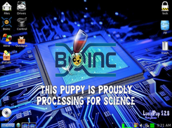 LucidPup 5.2.8 MeatyBones