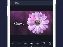 Alight Motion MOD APK Color Adjustment