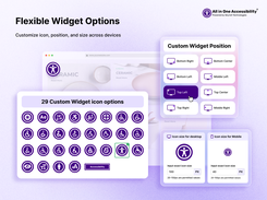 All in One Accessibility Screenshot 1