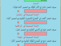 Test Advanced Level