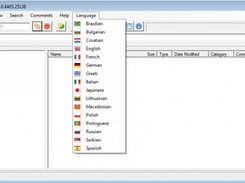 Support for Multilanguage GUI