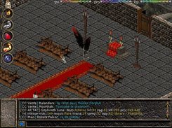 See informations about T4C "in game"