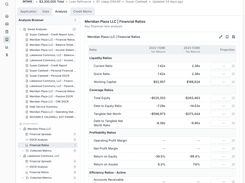 Financial ratio generation