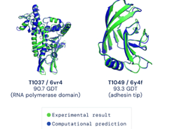 Alphafold Screenshot 1