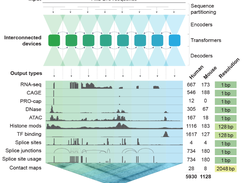 AlphaGenome Screenshot 1