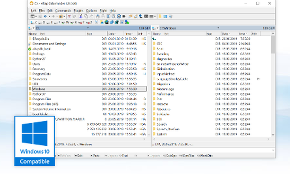 Altap Salamander Screenshot 1