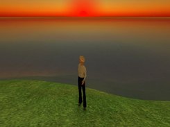 Avatar on the simulator (running in sandbox mode)