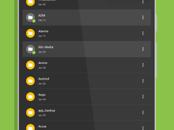 Amaze File Manager Screenshot 2